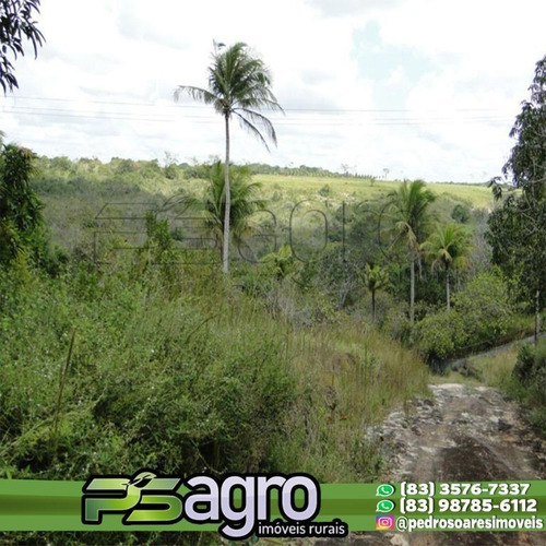 Imagem 4 de 18 de ( Oportunidade )fazenda Na Região De Pedras De Fogo, C/ 80ha - Fa0077