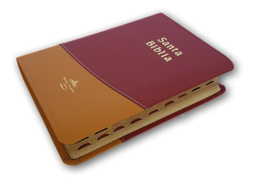 Santa Biblia Rvr1960 Compacta Bicolor C/índice