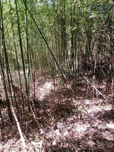 Imagem 4 de 7 de Terrenos À Venda Em Mairiporã/sp - Compre O Seu Terrenos Aqui! - 1496299