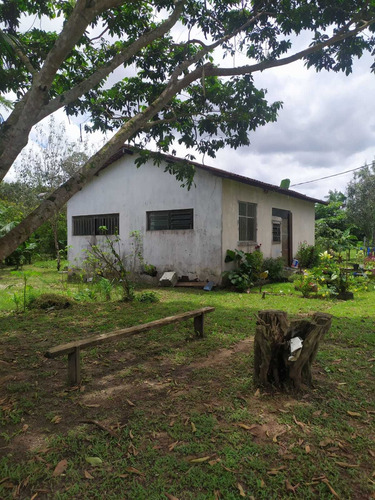 Imagem 16 de 16 de Chácara À Venda, Aurá, Ananindeua, Pa - Pa - Ch0001_four