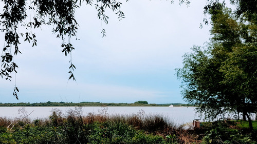 Lotes Venta 2da Seccion Delta Islas Sobre Paraná De L. Palma