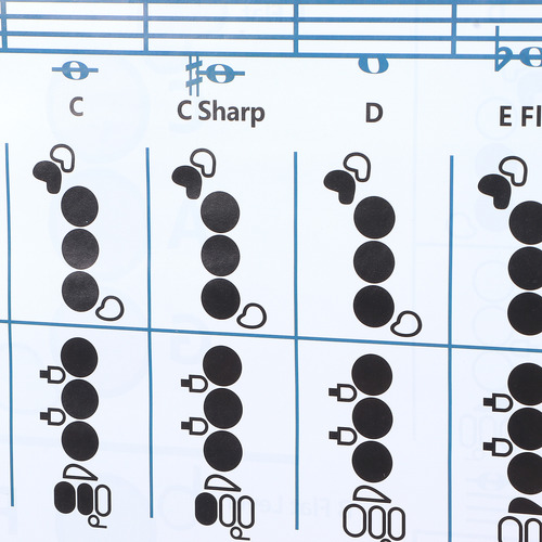 Tabla De Práctica De Digitación De Flauta (56 X 40 Cm), Acor