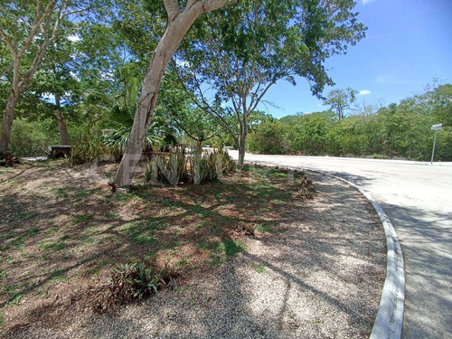 Terreno Habitacional En Venta La Rejoyada, Merida Yucatan