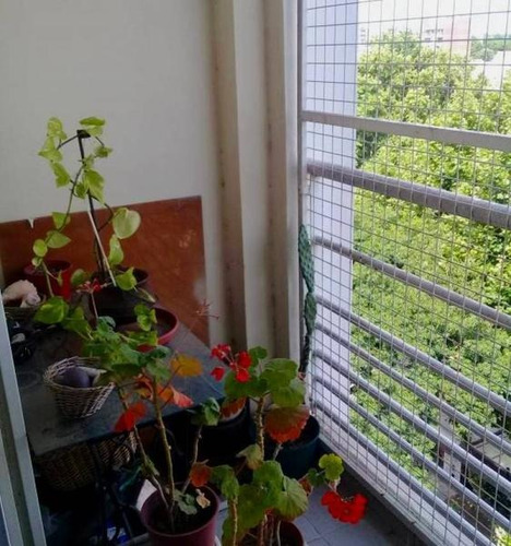 Imagen 7 de 21 de Departamento 3 Amb-mucha Luz-impecable