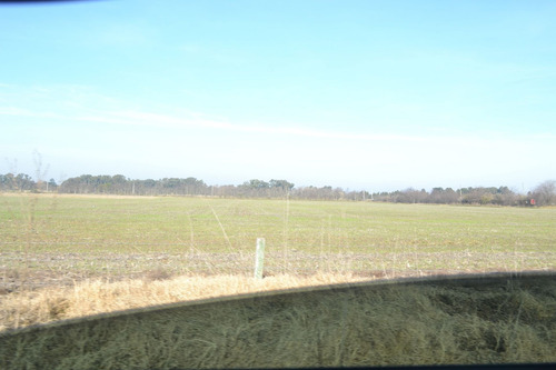 Imagen 4 de 13 de Campo En Venta En Cañuelas Sobre Ruta 6 , Km 99
