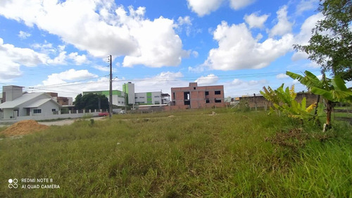 Terreno Para Venda Em Garopaba, Campo Duna - 999_2-1174834