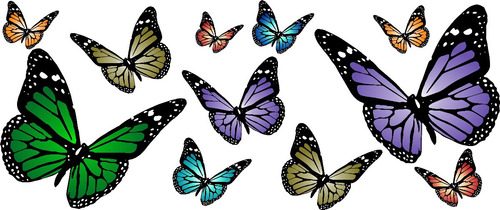 Vinilo Mariposas Color Decoración Wall Stickers