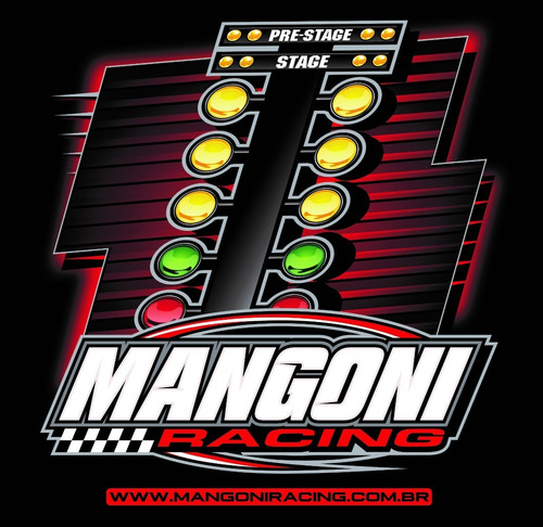 Imagem 2 de 2 de Chicote Para Ft450 E Ft550 A 3 Metros Fueltech
