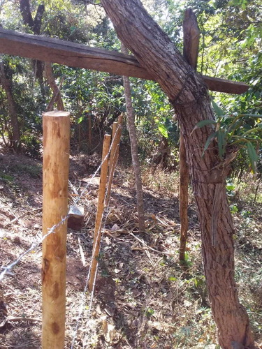 Imagem 2 de 6 de Chácara De 8.000 M² Á Venda