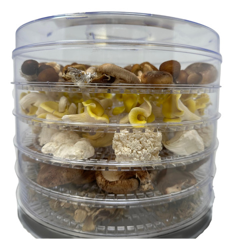Deshidratador De Alimentos Hongos De Temperatura Ajustable