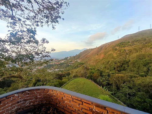 Imagen 5 de 26 de Vendo Casa 4.742m2 10h/11b/15p Los Guayabitos 9569