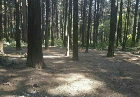 Imagen 7 de 8 de Terreno En Venta En Contadero