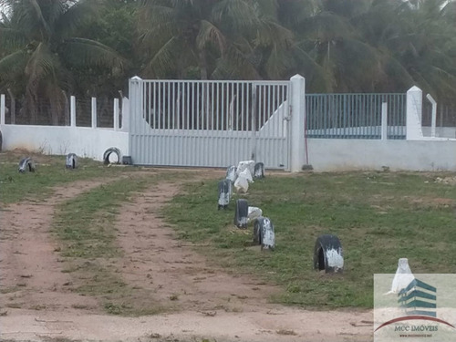 Imagem 10 de 30 de Granja A Venda Em Macaíba
