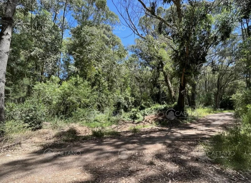 Venta 4 Terrenos Punta Ballena