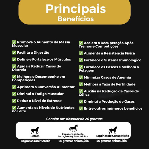 Suplemento Cavalo Hanoveriano Holsteiner Oldenburger Puruca