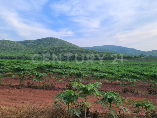 Venta Rancho Los Asmoles Colima