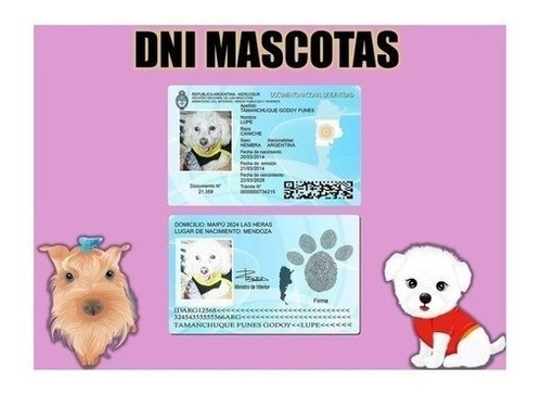 Plantillas Dni Mascotas / 3 Versiones Editables Psp