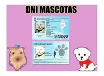 Comprar Plantillas Dni Mascotas \u002F 3 Versiones Editables Psp