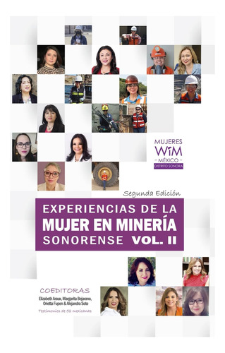 Libro: Experiencias De La Mujer En La Minería Sonorense, Vol