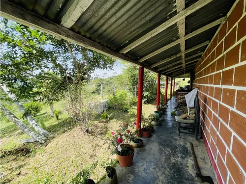 Se Vende Finca Productiva En San Roque, Antioquia.