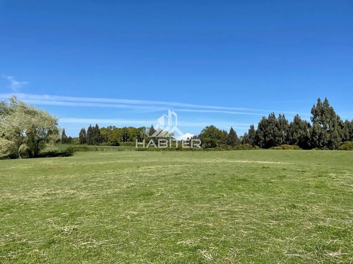 Cod35266 Vende Agrícola Campo De 36 Ha. Indigena En Lautaro