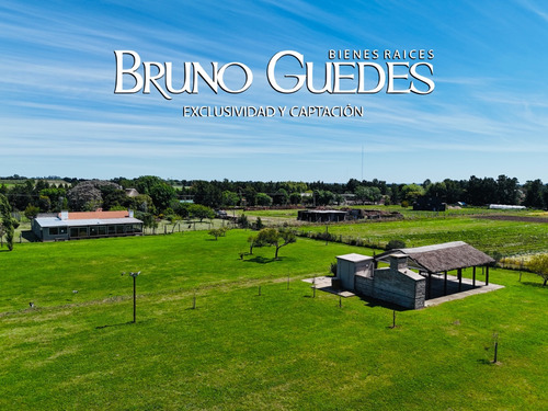 Se Alquila Chacra Con Salón De Eventos Y Canchas De Futbol Rincón Del Cerro Montevideo Rural