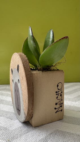 Souvenir Mini Maceta Madera Capibara Carpincho
