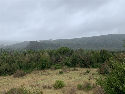 Campo En Venta De 45 Ha En Los Muermos