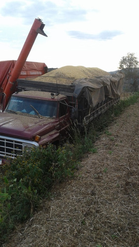Ford F14000