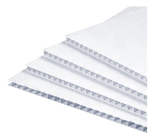 Coroplast Lamina Plastico Corrugado 61x81 Cm  (2 Piezas)