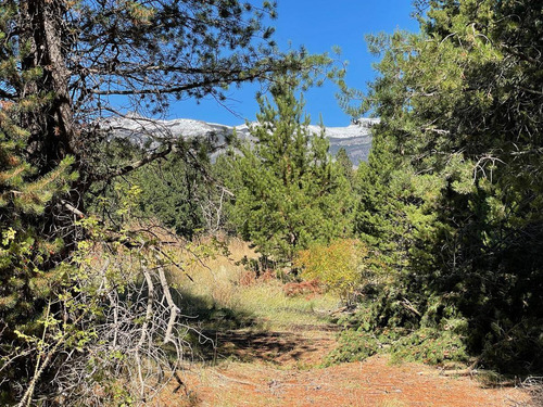 Imagen 7 de 16 de Terreno En Venta El Desafio Mountain