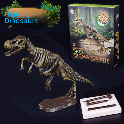 Set De Construcción Arqueológico Plesiosaurio Para Niños