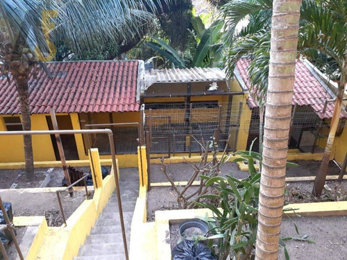 Imagem 14 de 16 de Ótimo Imóvel Comercial Ou Residencial, Muito Bem Localizado!
