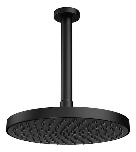 Chuveiro Deca Flex Max 2085.bl.tet.mt De Teto Black Matte
