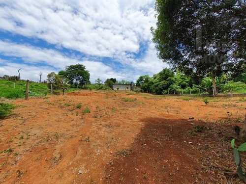Imagem 6 de 11 de Cód 2978 - Lindo Terreno Com Frente Para Represa. - 2978