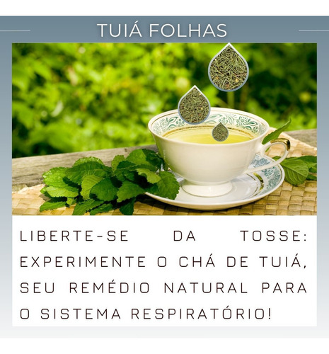 Chá Oficial2N ervas em ervas secas Chá de Tuia 30 g 3 u pacote x 3