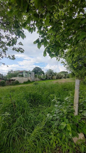 Se Venden 2 Lotes De Terreno En Santo Domingo Barrio Alto Etla, Oaxaca.
