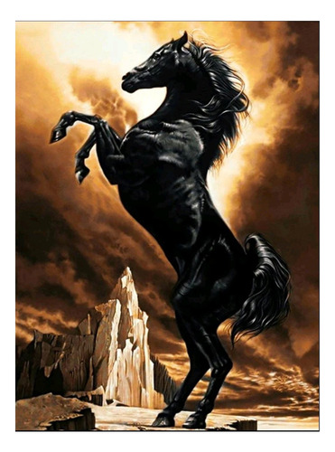T Kit De Pintura De Diamante 5d Caballo Negro 30x40cm Diy