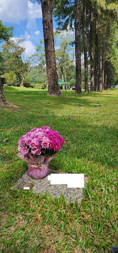 Jazigo Perpétuo 3 Gavetas - Cemitério Jardim Da Colina (sbc)