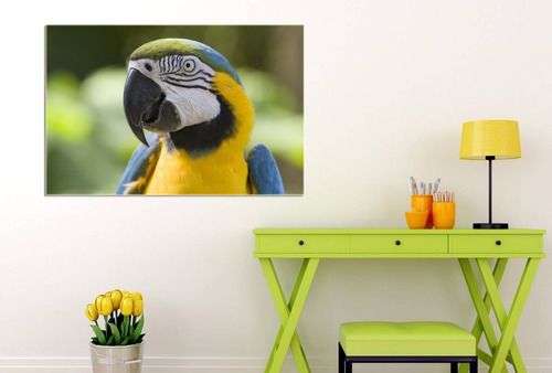 Vinilo Decorativo 30x45cm Guacamayo Pajaro Aves Loro M8