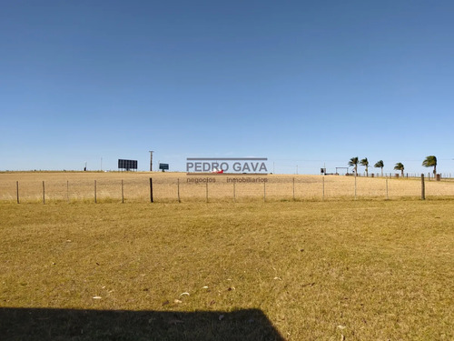 Chacra En Alquiler Anual 36 Hectáreas Sobre Ruta Interbalnearia, A Minutos De Piriápolis