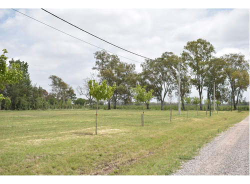 Lote En Piñero 487 Mt2 Frente A La Ruta  Ruta Nacional Ao12 Km 9,5 - Lote 12- Manzana A