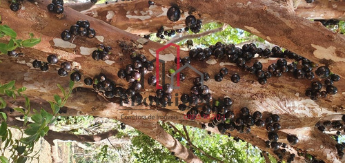 Imagem 13 de 30 de Área À Venda Em Barão Geraldo - Ar000942