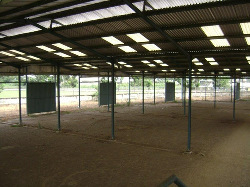 Imagen 4 de 10 de Terreno Con Estructura Para Galpones Industriales
