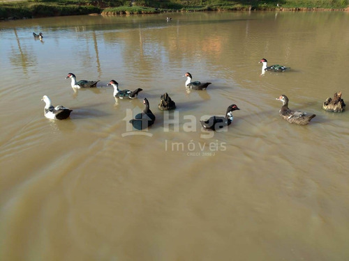Imagem 3 de 25 de Terreno Para Sítio Em Condomínio Rural À Venda Em Tijucas/sc - 1406