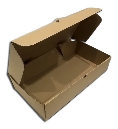 Caja Packaging Carton 30x15x5 Tapa Autoarmable X100