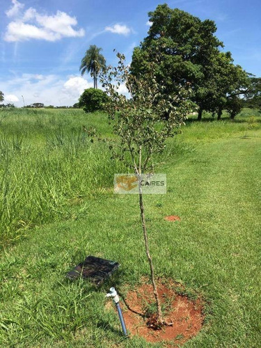 Terreno À Venda, 800 M² Por R$ 550.000,00 - Jaguariuna - Jaguariúna/sp - Te0748
