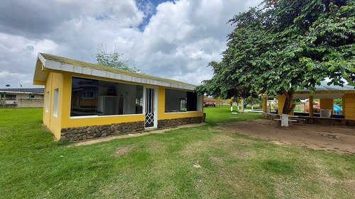 Imagen 5 de 19 de En Venta Finca En El Encanto, Via La Arenosa, Tocuyito