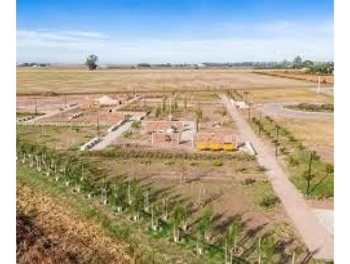 Imagen 30 de 30 de Oportunidad Para Ganadería Y Siembra, A Solo 1h 30m De Rosario