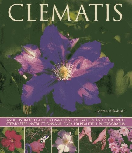 Clematis An Illustrated Guide To Varieties, Cultivation And 